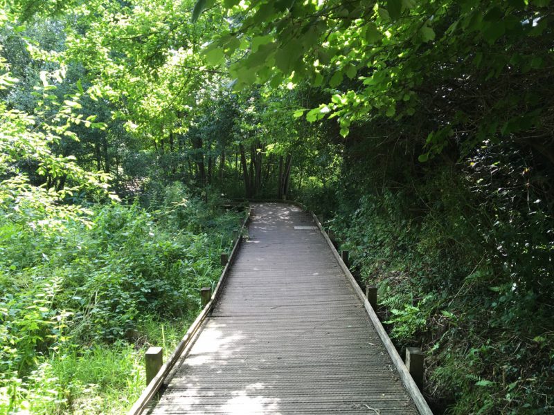 Hempstead Meadows Nature Reserve